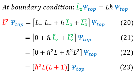 Angular Momentum: Ladder Operators, L^2 Eigenvalue